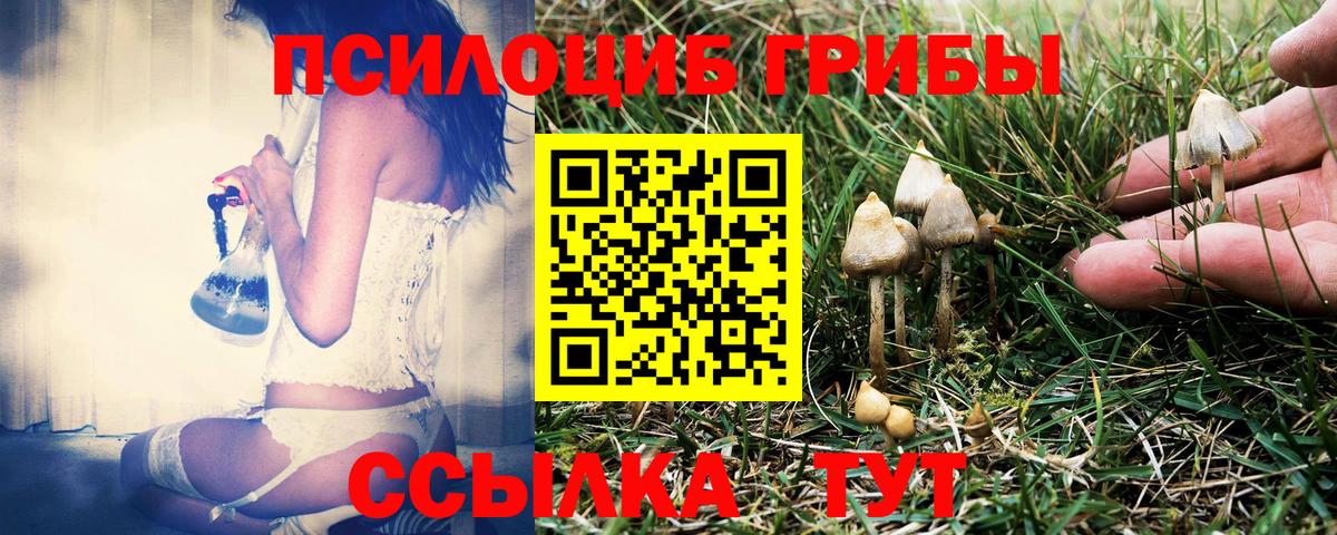 Галлюциногенные грибы Cubensis Черкесск
