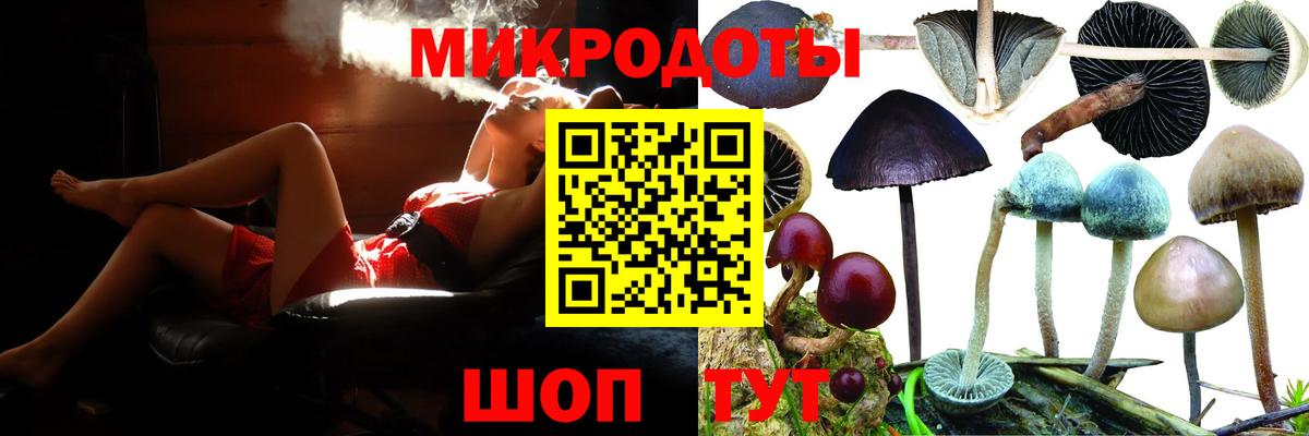 закладки  Галлюциногенные грибы MAGIC MUSHROOMS  Галлюциногенные грибы GOLDEN TEACHER  Вход с VPN  Черкесск 